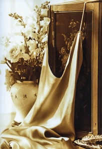 VS Nightgown copy.jpg
